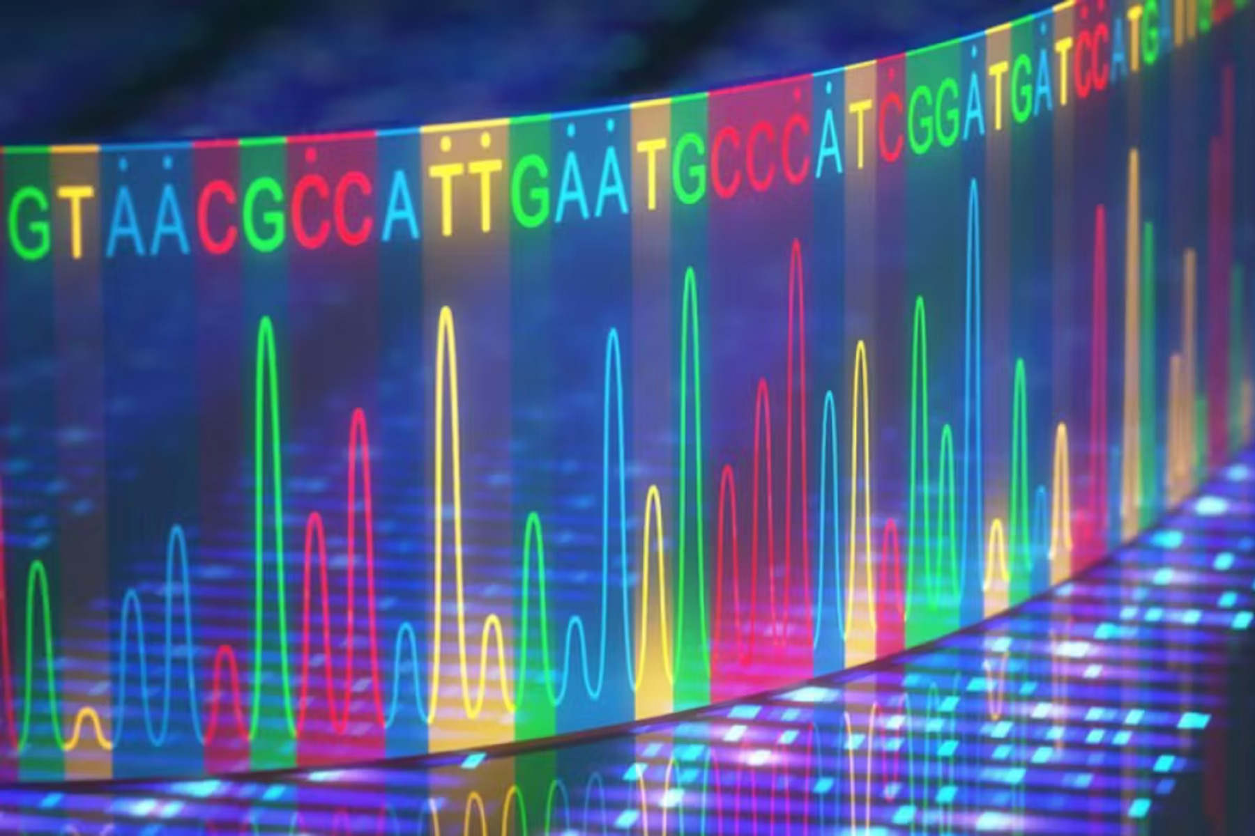 Fragmentomik und MRD: Eine neue Grenze in der Krebserkennung