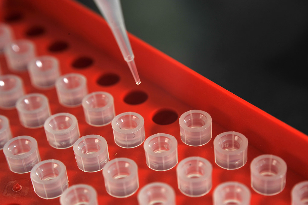 Cancer Diagnostics through ctDNA
